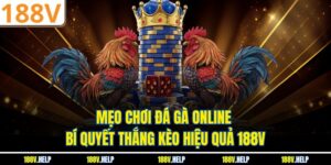 Mẹo Chơi Đá Gà Online – Bí Quyết Thắng Kèo Hiệu Quả 188V