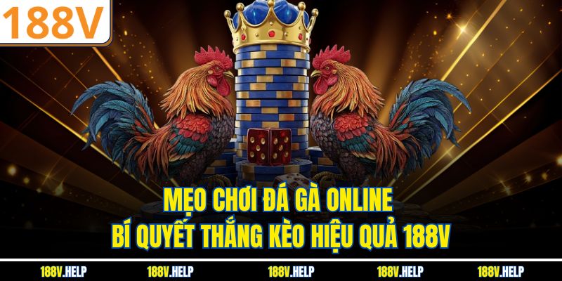 Mẹo Chơi Đá Gà Online – Bí Quyết Thắng Kèo Hiệu Quả 188V