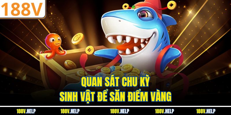 Quan sát chu kỳ sinh vật để săn điểm vàng